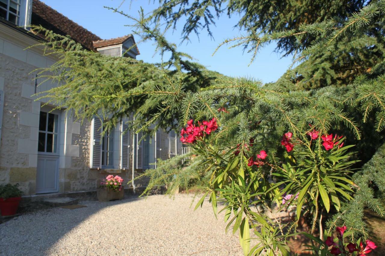 Francueil Bella Simonetta B&B 외부 사진